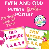 Even and Odd Numbers Poster Anchor Chart FREEBIE Flamingo 
