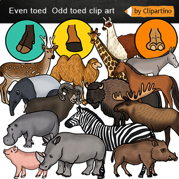 Preview of Even and odd toed / Types of animals clipart Commercial use