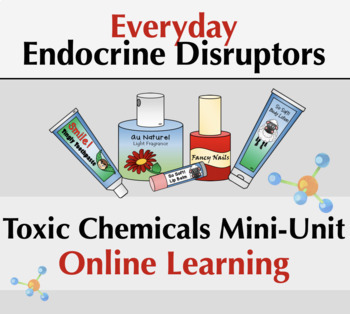Preview of Toxins and Endocrine Disruptors | Endocrine System Activity (PDFs)