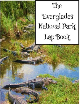 Preview of Everglades Lap Book