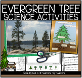 Evergreen Tree Science Language and Art Activities  Decemb