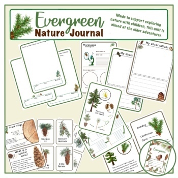 Preview of Evergreen trees - Coniferours  -  Nature journal study unit