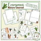Evergreen trees - Coniferours  -  Nature journal study unit