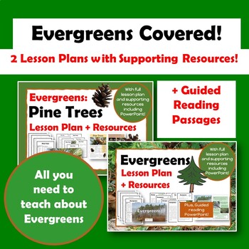 Preview of Evergreens Lesson Covered for KS1 - BUNDLE