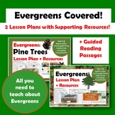 Evergreens Lesson Covered for KS1 - BUNDLE