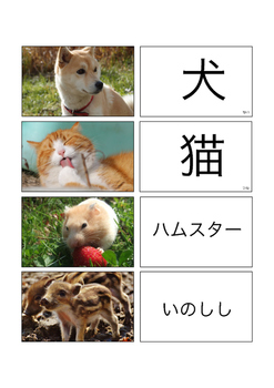Preview of Animals in Japan Vocabulary Cards