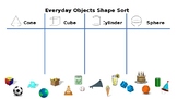 Everyday Objects Shape Sort