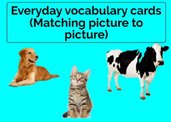 Preview of Everyday vocabulary cards(matching picture to picture)