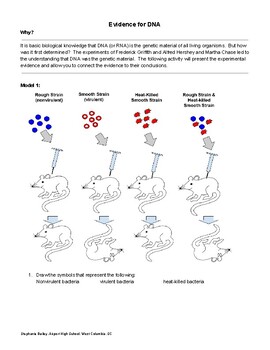 Inquiry Dna Worksheets Teaching Resources Teachers Pay Teachers