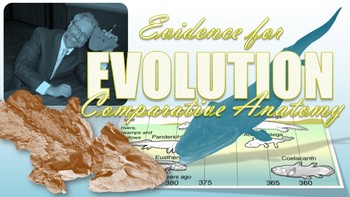 Preview of Evidence for Evolution, Comparative Anatomy