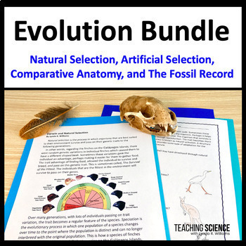 Preview of Evidence of Evolution - Middle School Science Lessons - Natural Selection