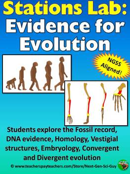Preview of Evidence for Evolution Station Lab: NGSS Aligned