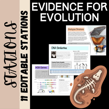 Preview of Evidence for Evolution: Stations