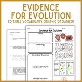 Evidence for Evolution Vocabulary Graphic Organizer | Biol