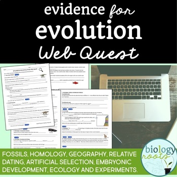 Preview of Evidence for Evolution Web Quest