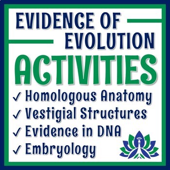 Preview of Evidence of Evolution Activity BUNDLE NO PREP BUY 3 GET 1 FREE