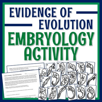 Preview of Evidence of Evolution Activity with Worksheet Embryology NGSS MS-LS4-2 MS-LS4-3