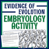 Evidence of Evolution Activity with Worksheet Embryology N