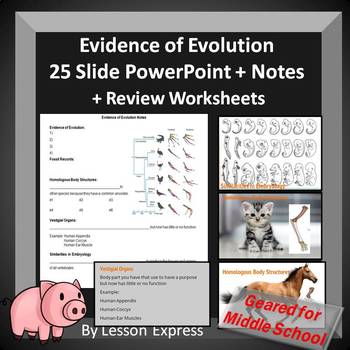 Preview of Evidence of Evolution -- PowerPoint, Notes + Worksheets