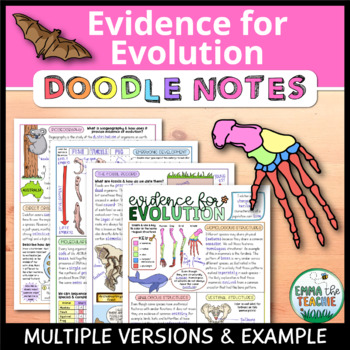 Preview of Evidence of Evolution Doodle Notes - Guided Notes, Review Activity