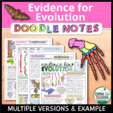 Evidence of Evolution Doodle Notes - Guided Notes, Review 