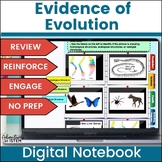 Evidence of Evolution Activity | Fossils |  Digital Intera