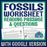 Fossils Reading Passages Worksheet PRINT and GOOGLE Versions