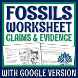 Evidence of Evolution Fossils Worksheet Diagrams PRINT and