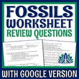 Evidence of Evolution Fossils Worksheet Review PRINT and G