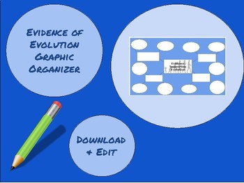 Preview of Evidence of Evolution Graphic Organizer