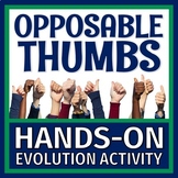 Evidence of Evolution Opposable Thumbs Human Evolution Act