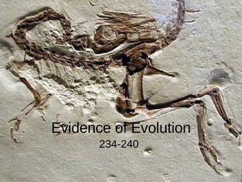 Preview of Evidence of Evolution PowerPoint Presentation