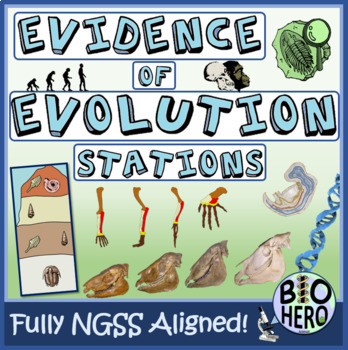 Preview of Evidence of Evolution Stations