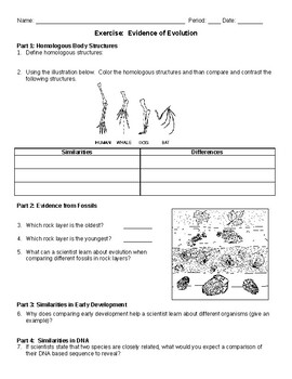 Evidence of Evolution Worksheet by Coach B #39 s Store TpT