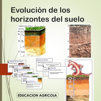 Evolución de los horizontes del suelo (spanish version) | TPT