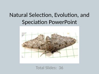 Preview of Natural Selection, Evolution, and Speciation PowerPoint