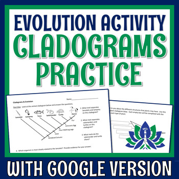 Preview of Evolution Activity Creating Cladogram Diagrams  NGSS MS-LS4-1 MS-LS4-2