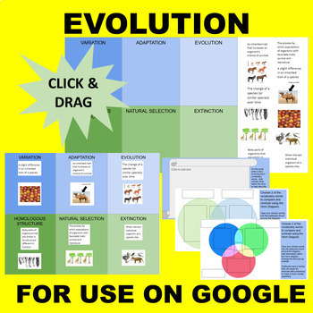 Preview of Evolution (Adaptation, Variation, etc) GOOGLE Interactive Sort and Match