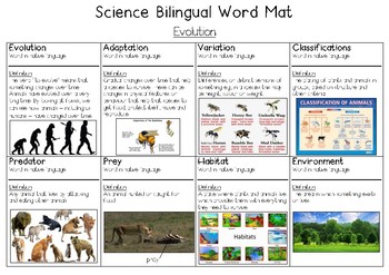 Preview of Evolution Bilingual Word Bank