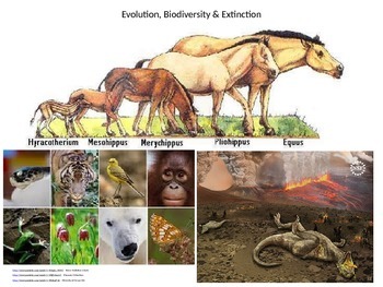 Preview of Evolution, Biodiversity & Extinction