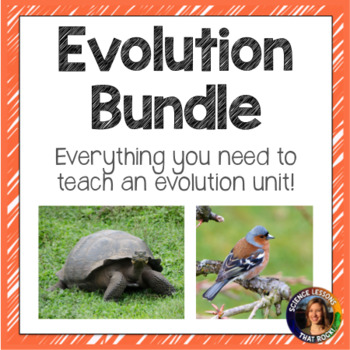 Preview of Evolution Bundle