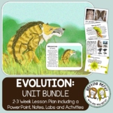 Evolution, Natural Selection, Adaptation - PowerPoint & Handouts Bundle
