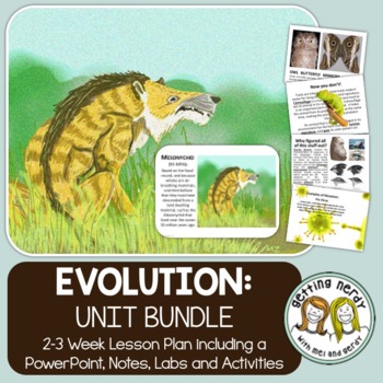 Preview of Evolution, Natural Selection, Adaptation - PowerPoint & Handouts Bundle