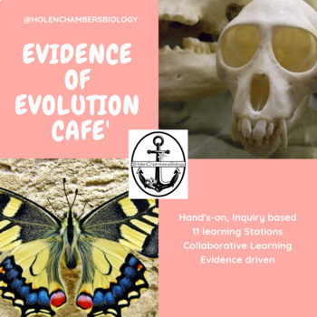 Preview of Biology - EVOLUTION: Lab -11 exploratory stations on the evidence of evolution