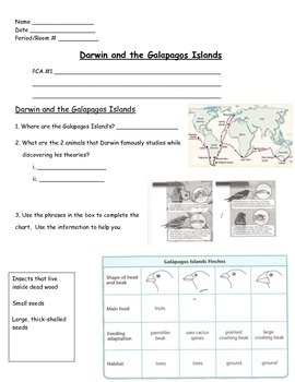 Preview of Evolution - Charles Darwin and the Galapagos Islands Worksheet