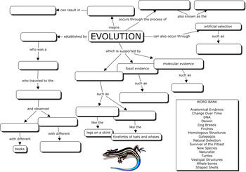 Evolution Concept Map Key By Biologycorner Teachers Pay Teachers