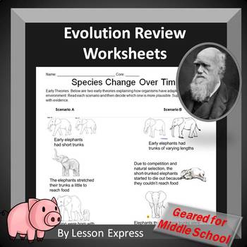 Preview of Evolution, Darwin and Natural Selection Review Worksheets (9 items)