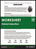 Worksheet - Evolution - Darwin's Journey & Natural Selecti