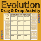 Evolution Drag and Drop Digital Activity