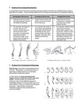 Evolution Evidence For Evolution By Science With Mr Enns Tpt